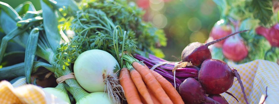 Augsburgs Solidarische Landwirtschaft