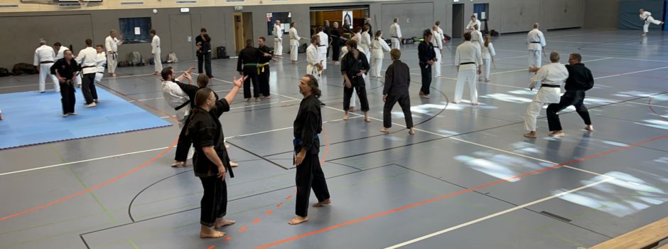Budomeeting der Karateka