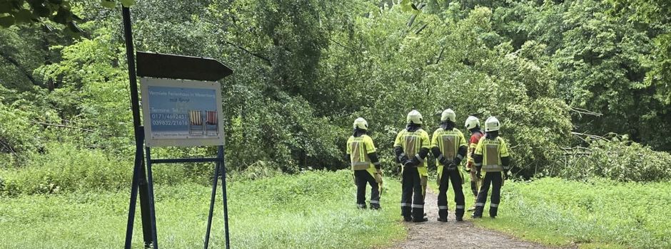 Feuerwehr beseitigt gefährliche Bäume am Woblitzufer
