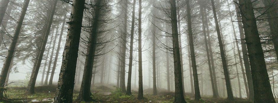 Einladung zur Genossenschaftsversammlung