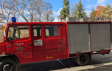 Versteigerung über Zollauktion