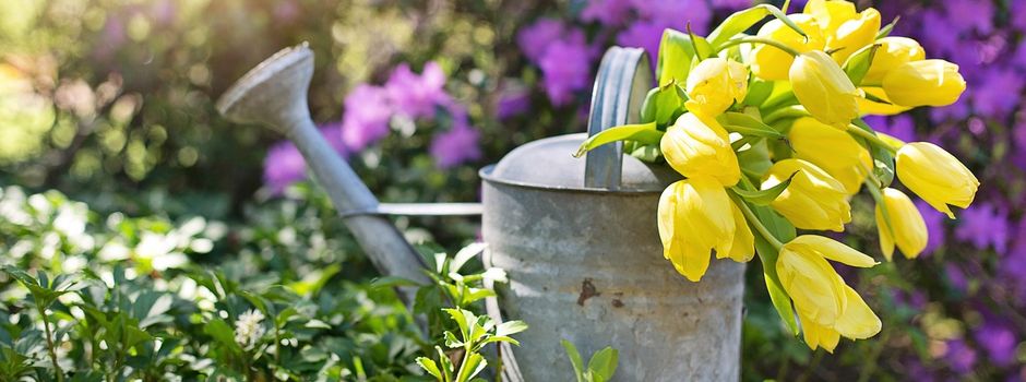  Jahreshauptversammlung 2026