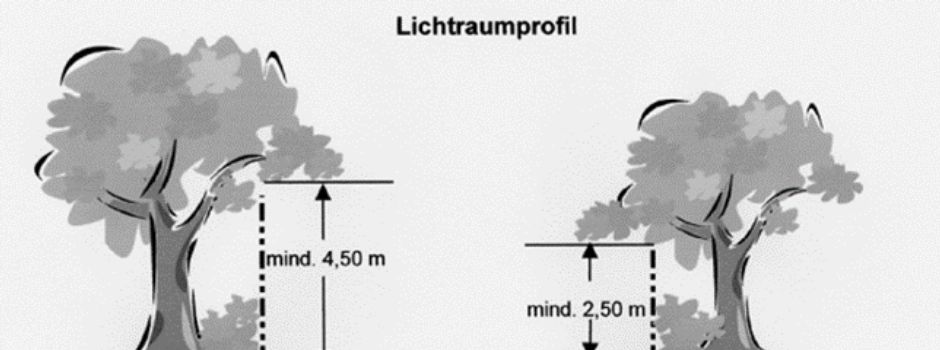 Baumäste und Hecken zurückschneiden