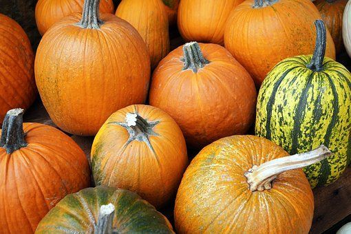 Herbstzeit ist gleich Kürbiszeit – Schnelle und leckere Kürbisrezepte
