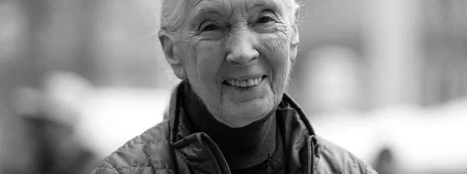Britische Schimpansen-Forscherin Jane Goodall tot