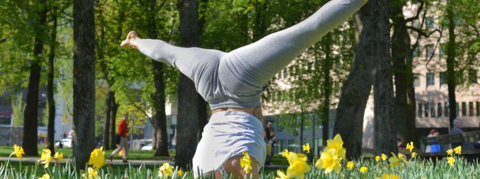 Yoga im Park – ein Highlight im Augsburger Sommer