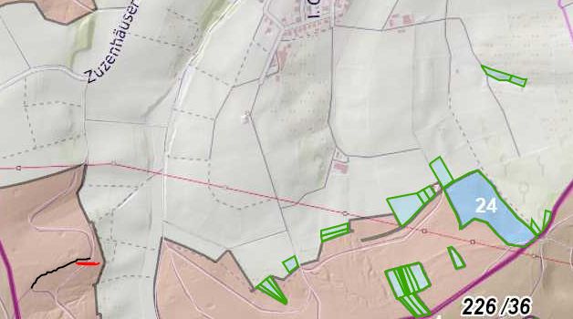 Beginn von Fällarbeiten im Betteleichwald