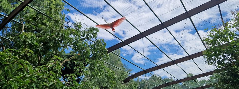 Geflügelpest im Weltvogelpark – sämtliche Vögel des Geheges betroffen
