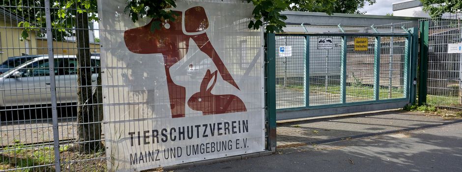Mainzer Tierheim auf Spenden angewiesen