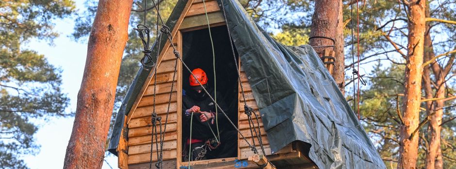 Protest gegen Tesla wird größer: Aktivisten auf Baumhäusern