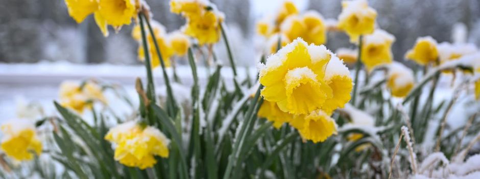 Spätes Winterwetter in Teilen von Deutschland 