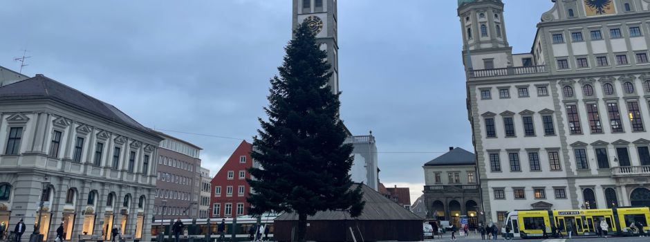 Ein Baum mit zwei Gesichtern: Die Tanne auf dem Rathausplatz bleibt