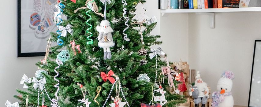 WEIHNACHTSBÄUME zu verkaufen