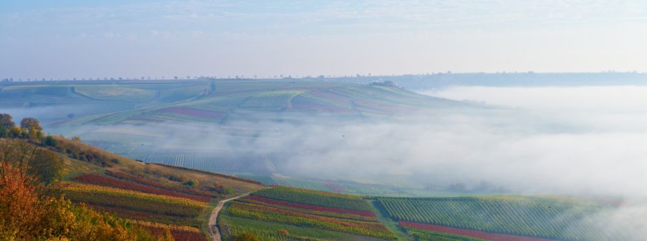 Radfahren: Die besten Herbst-Touren in Rheinhessen