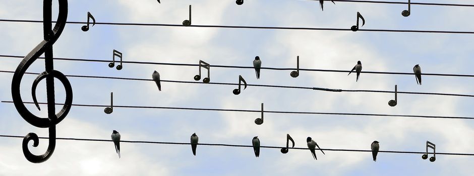 Der MGV Gem. Chor Leisel ist endlich wieder auf der Bühne