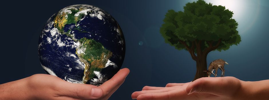 Wie gestalten wir den Klimaschutz im Alten Land und Horneburg?