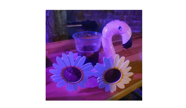 Aloha Party war der Kracher