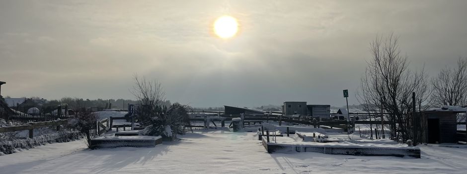 Die Vorweihnachtszeit im Bauernhofkindergarten