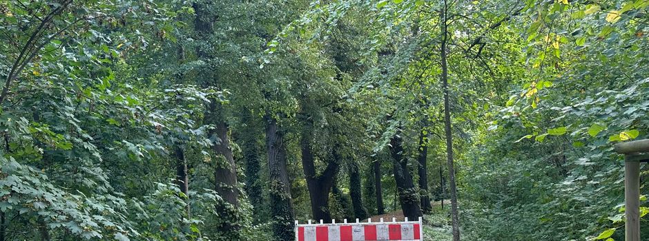 Sperrung des Walls wegen Gefahren durch Totholz