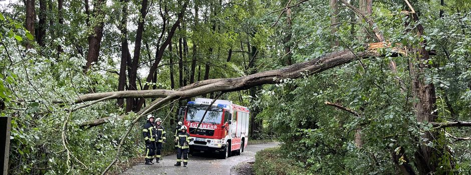 Einsatz für die Feuerwehr Pinnow