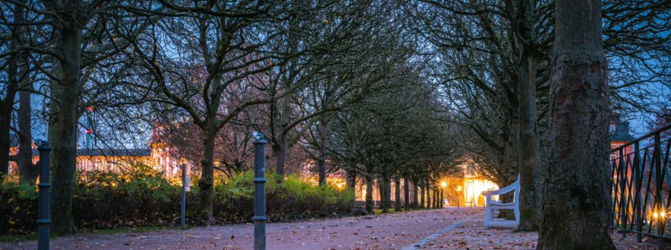 Rollerfahrer tritt auf Mann (71) in Wiesbaden ein