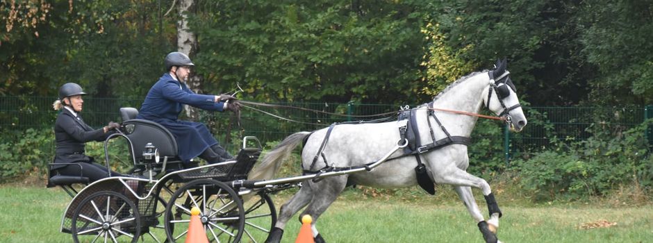 Gelungener WBO-Fahrertag der Kutschen-Freunde Herzebrock-Clarholz