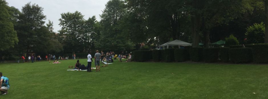 Die Niersteiner Sommernacht am 13. Juli 2018 im Park