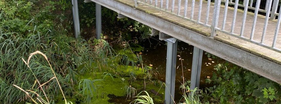 Thomas Brücke dank Helfergruppe wieder sicher begehbar