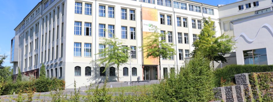 Dynamikum-Radweg am 19. Februar wegen Pflegearbeiten gesperrt
