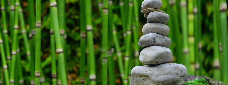 Harmonie-Bewegung-Gesundheit e.V.