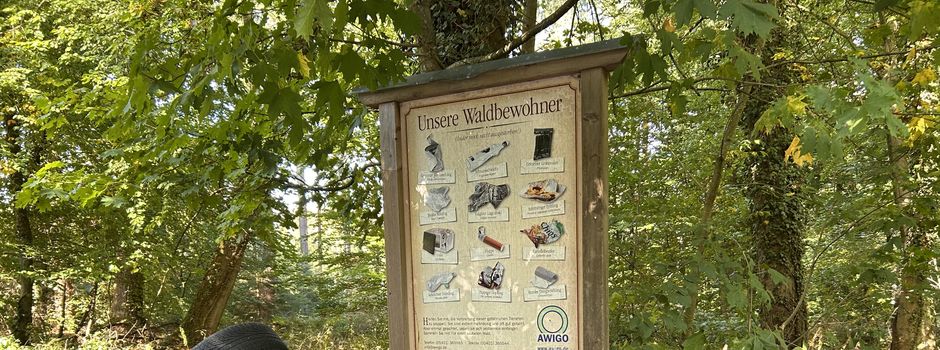 Die AWIGO informiert: Das Ablagern von "wildem Müll" ist verboten