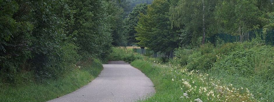 Ausgleichsflächen im Wiesental – Rücksichtnahme auf dem Wiesentalweg