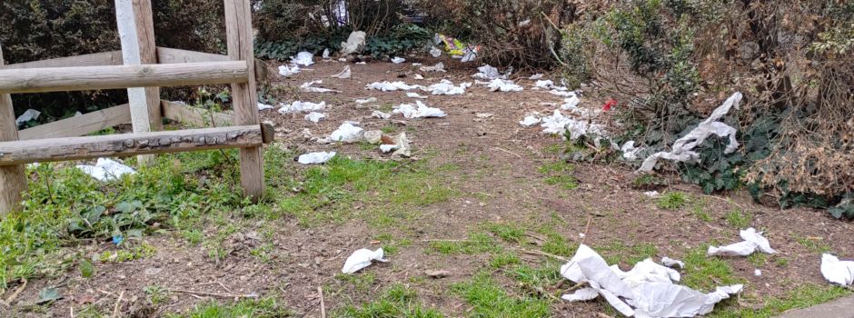 Kloake mitten in Mainz: So geht die Stadt jetzt gegen „Wild-Koter“ vor