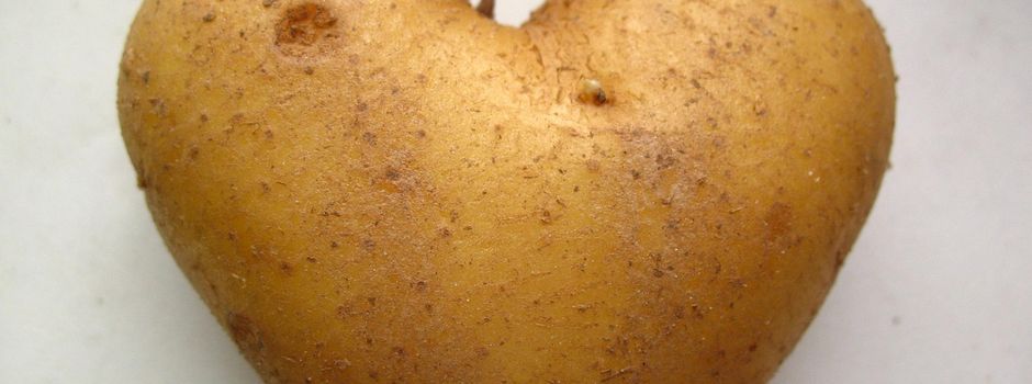 "Alles rund um die Kartoffel"