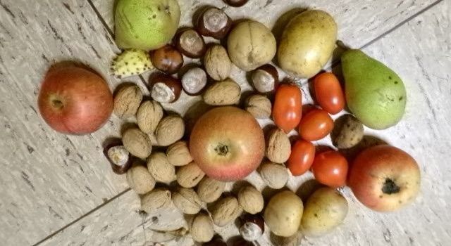 🍎 Erntezeit