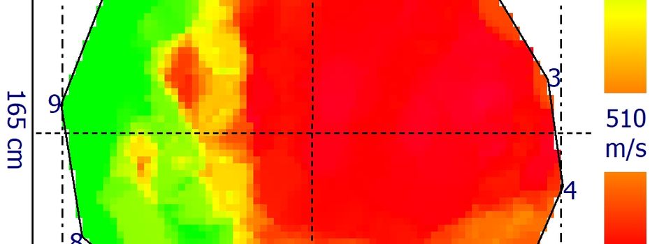 26 Meter hohe Pappel per Schalltomographie begutachtet