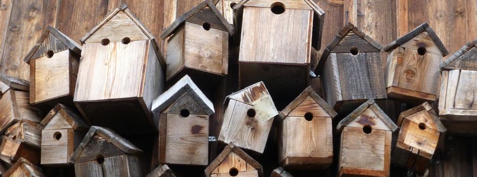 Bau von Nisthilfen für Schwalben, Meisen und andere Vogelarten