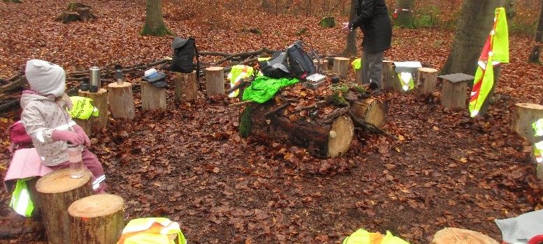 Der Wald ein spannender Lernort