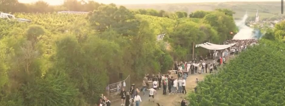 „Bass am Berg“: Großes Techno-Event kommt zurück nach Nierstein