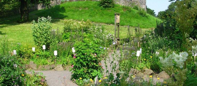 Der Vogelsberggarten startet ein neues Projekt: gemeinschaftliches Gärtnern 