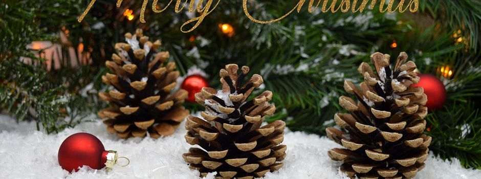 Grußworte des Bürgermeisters