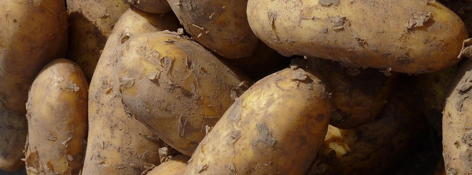 Grumbeerebrode am Rappeneck