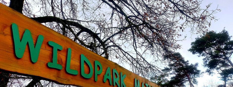 Wegen Vogelgrippe: Mainzer Wildpark nimmt keine Vögel mehr auf