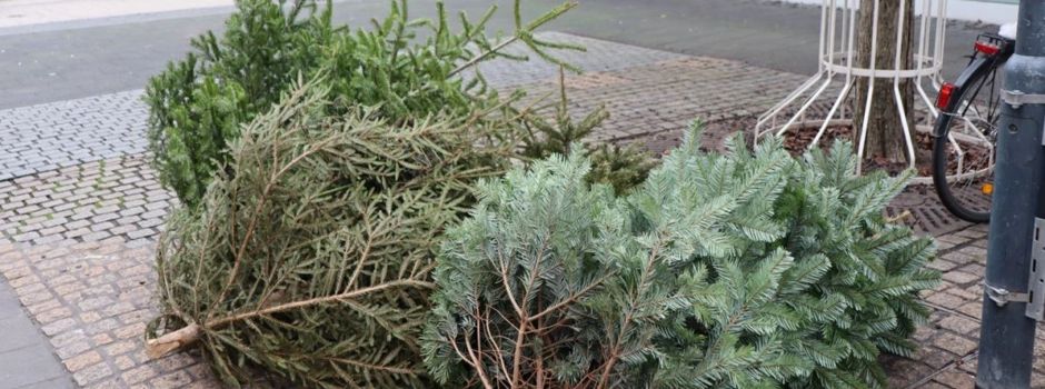 Wann die Weihnachtsbäume in Bingen abgeholt werden