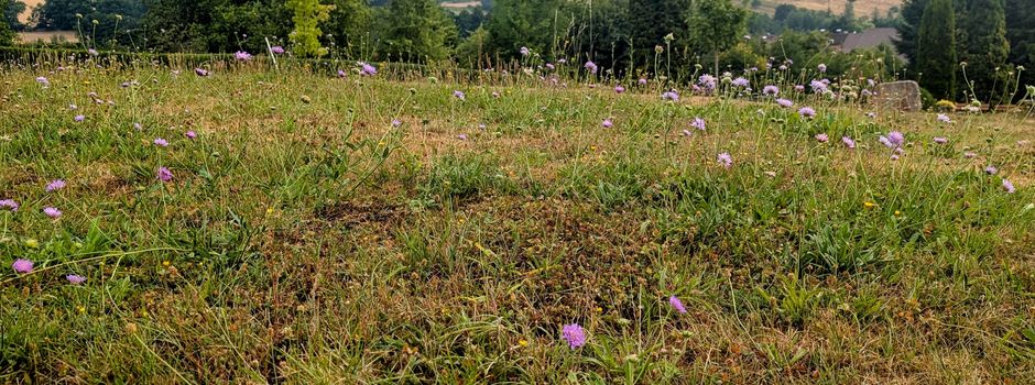 Blühende Vielfalt auf dem Friedhof Vockerode