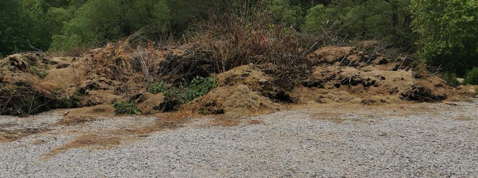 Aufruf zur Teilnahme an der Sitzung des Gemeinderats -

Nutzung des Strauchschnittplatzes!! 