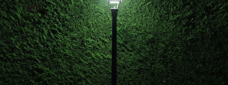 💡 Straßenbeleuchtung "Zum Esch" & Nebenstraßen