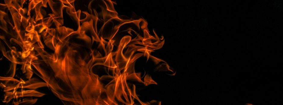 Wohnungsbrand in Bürstadt: Drei Katzen sterben