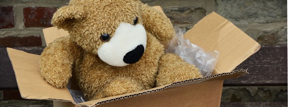 Teddybär überführt Dieb in Mainz