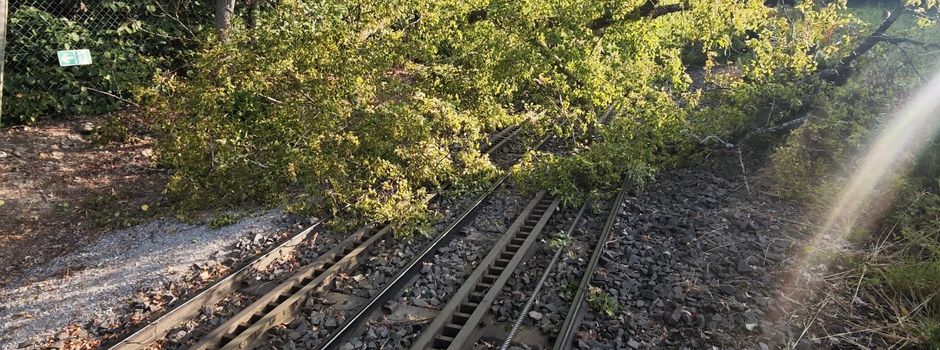 Baum stürzt auf Gleise: Nerobergbahn in Wiesbaden steht still